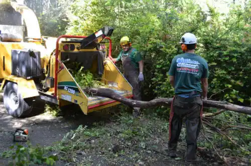 tree services Fremont